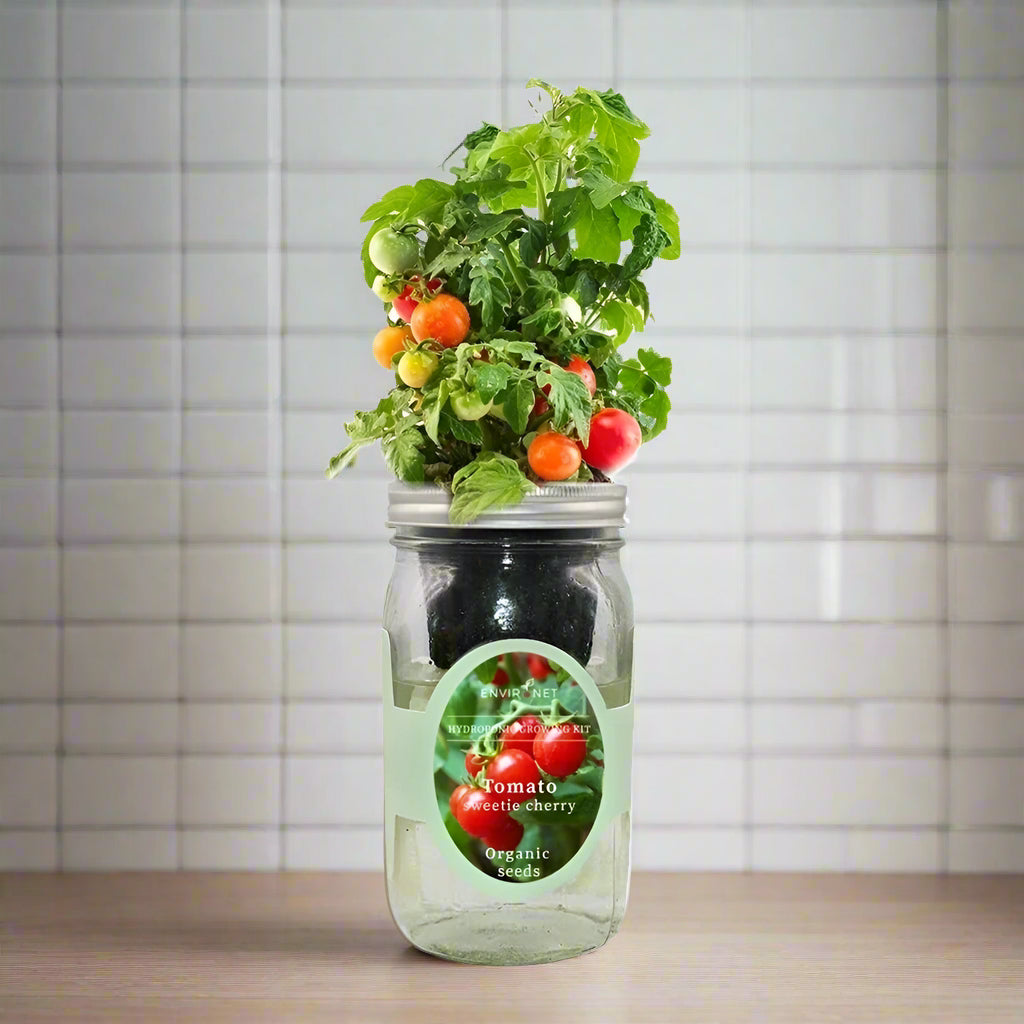 Sweetie Cherry Tomato Hydroponic Kit