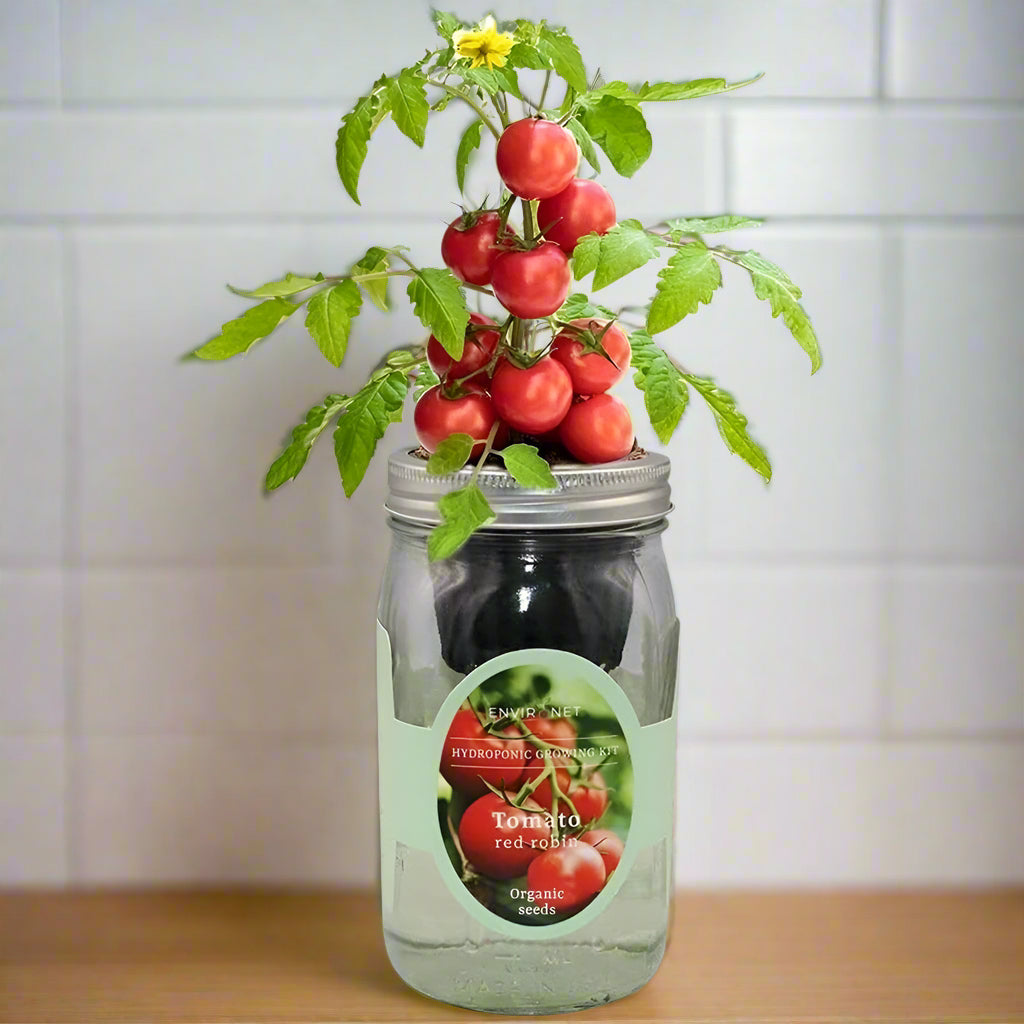 Tomato Red Robin Hydroponic Kit