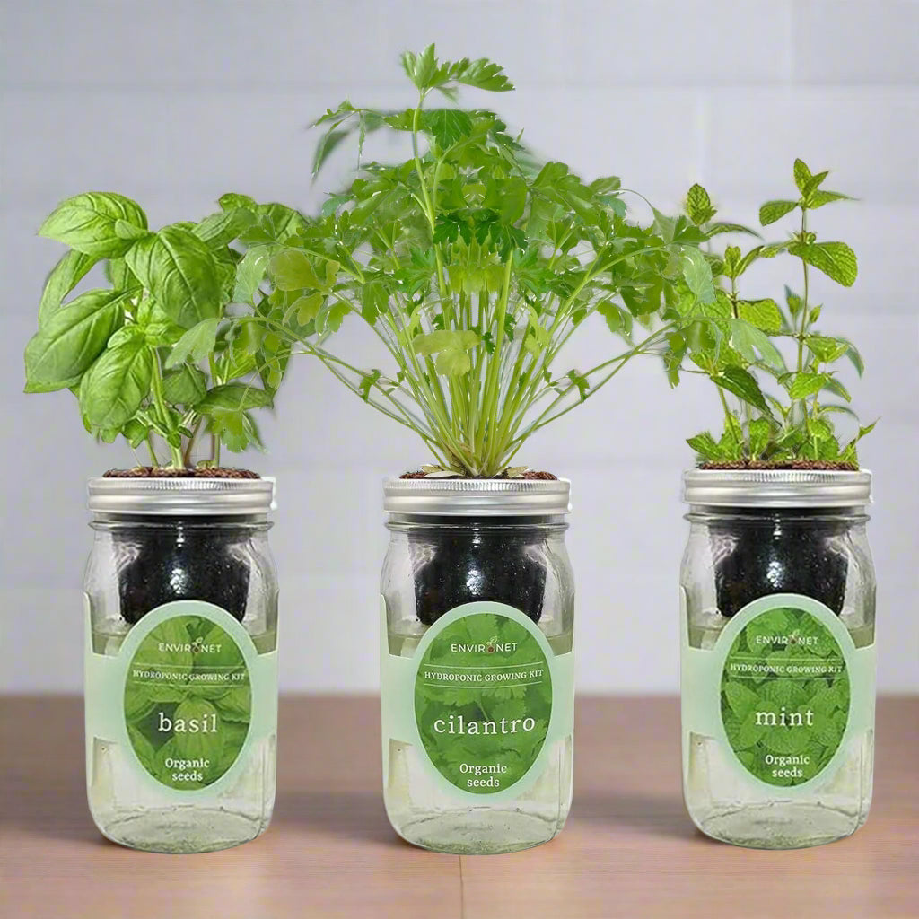 Essential Greens - Basil, Cilantro, Mint