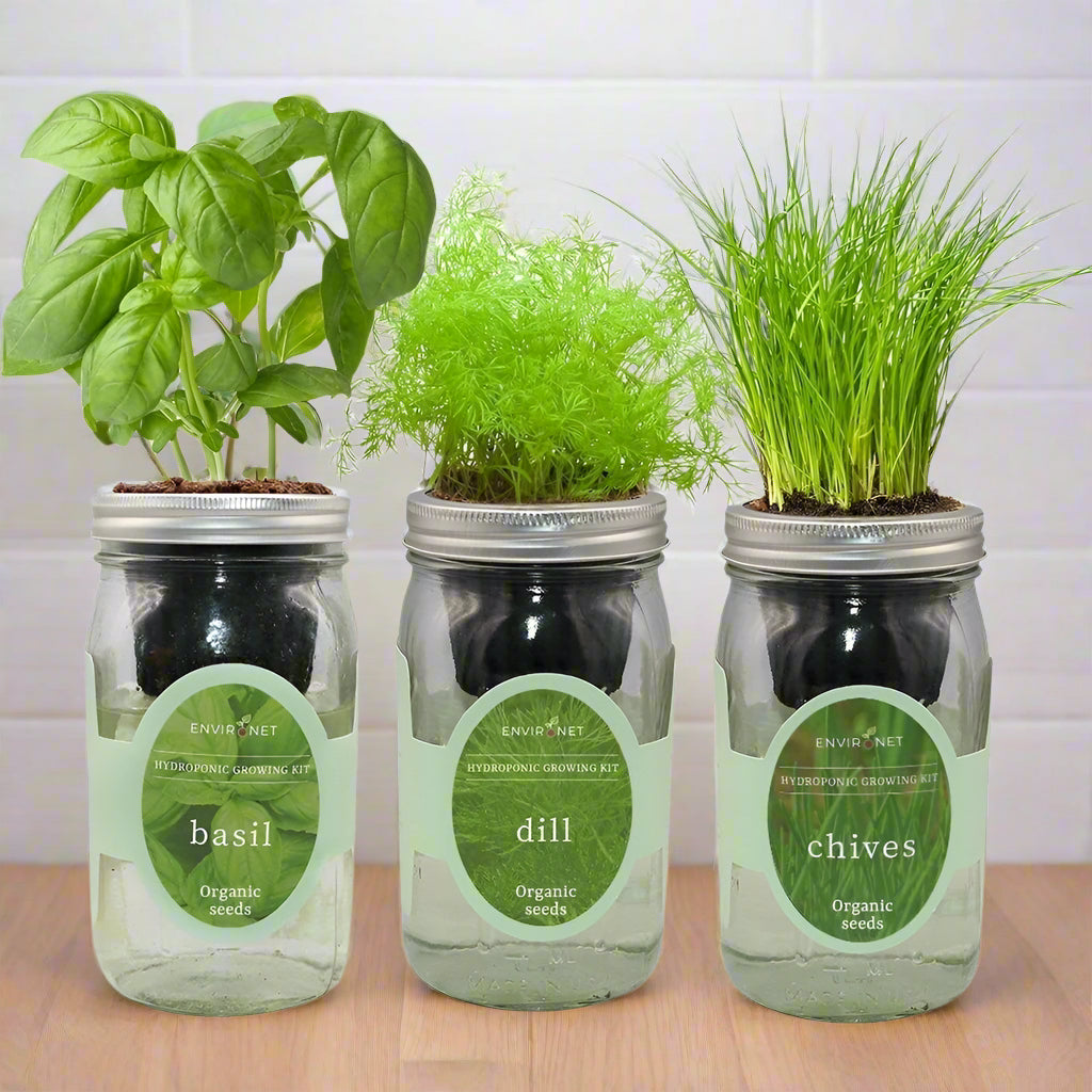 Hydroponic Herb Kit Trio (Basil, Dili & Chives)