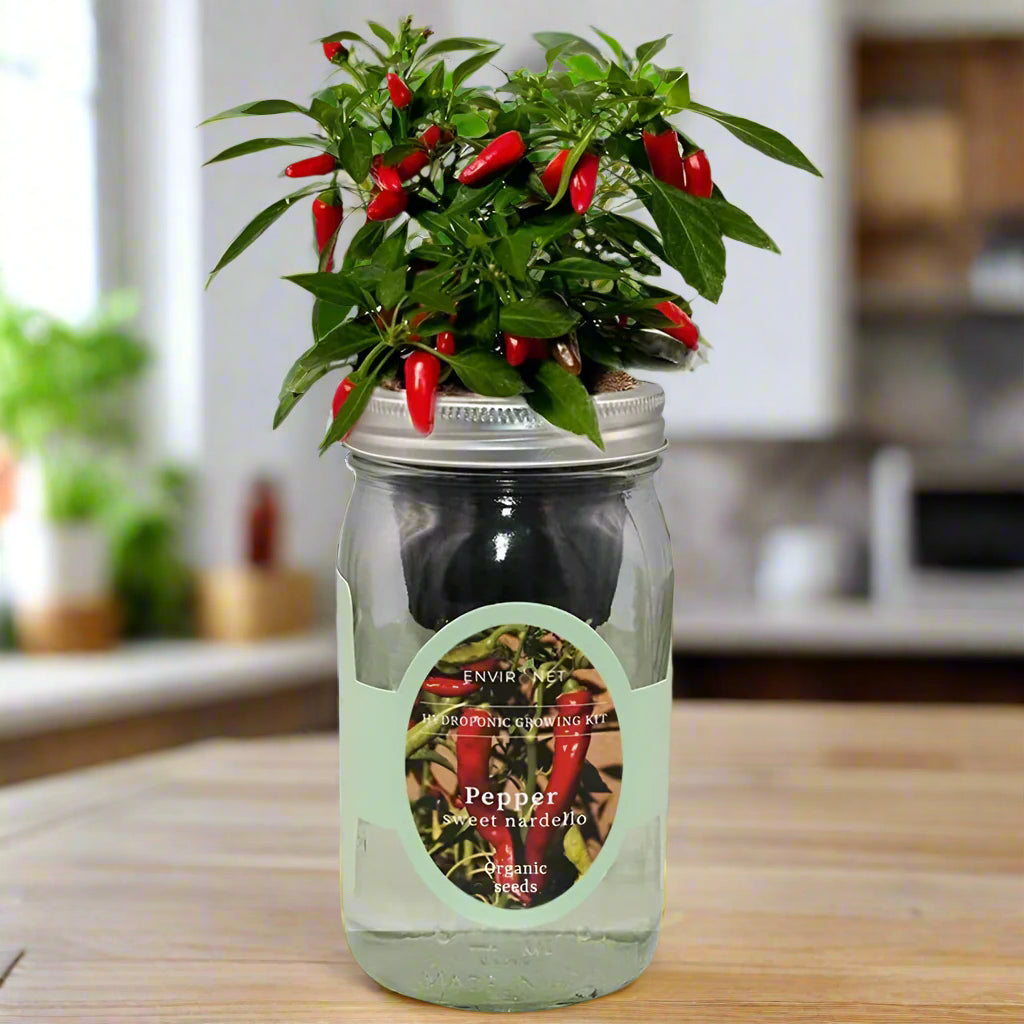 Sweet Nardello Pepper Hydroponic Kit - Mason Jar