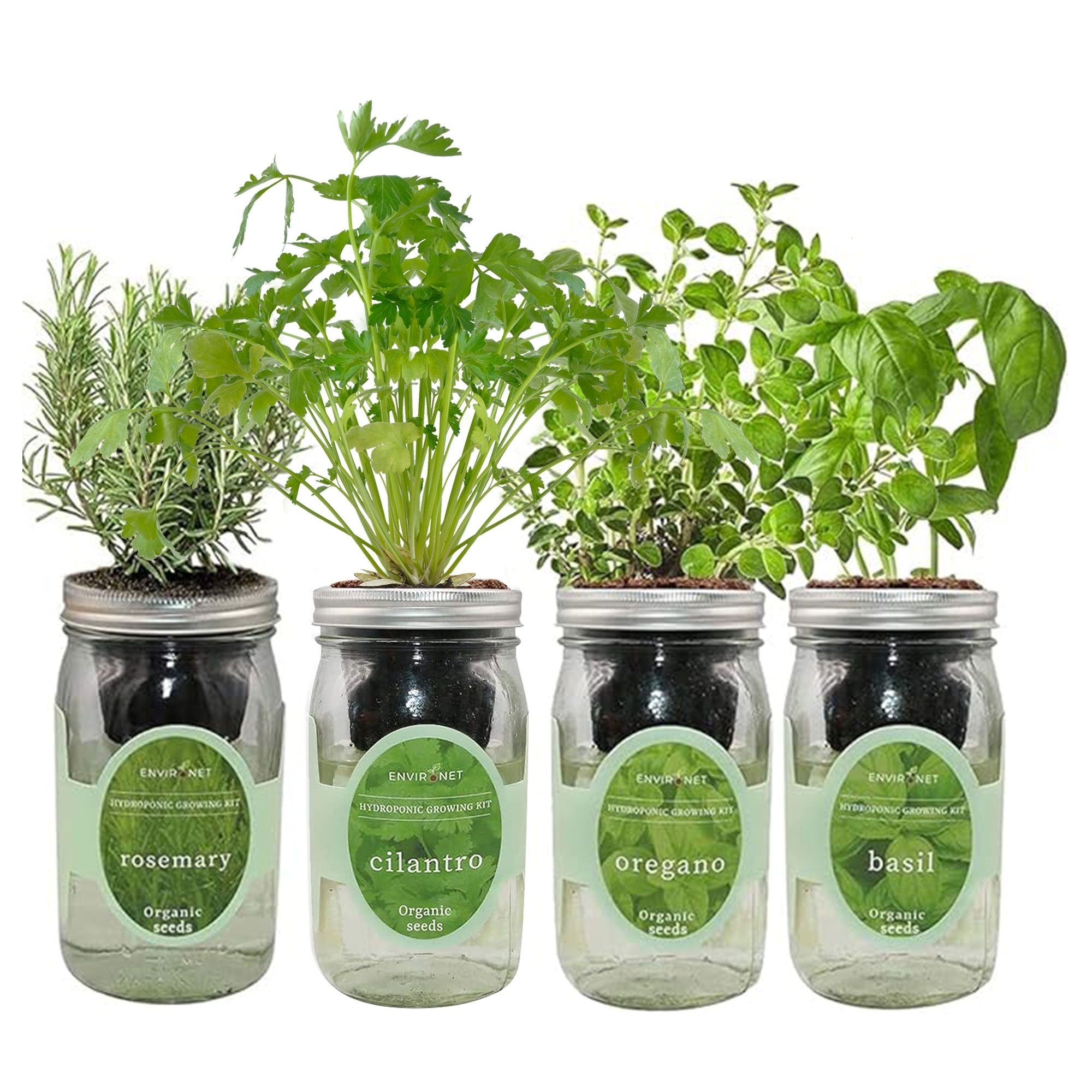 Mediterranean Herb Mix - Rosemary, Cilantro, Oregano, Basil