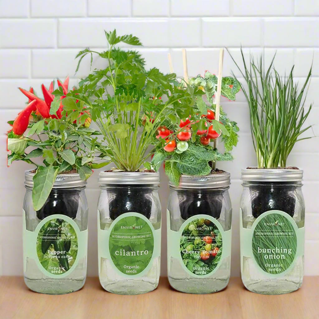 Zesty Salsa (Jalapeno Pepper, Cilantro, Cherry Tomato - Tiny Tim, Bunching Onion)