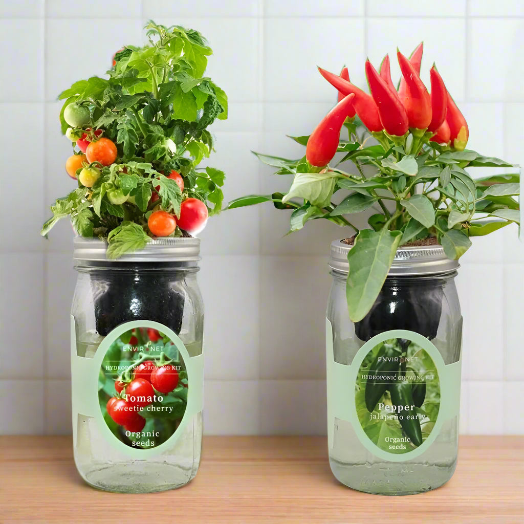 Veggie Duo (Sweetie Cherry Tomato & Pepper Jalapeño Early)