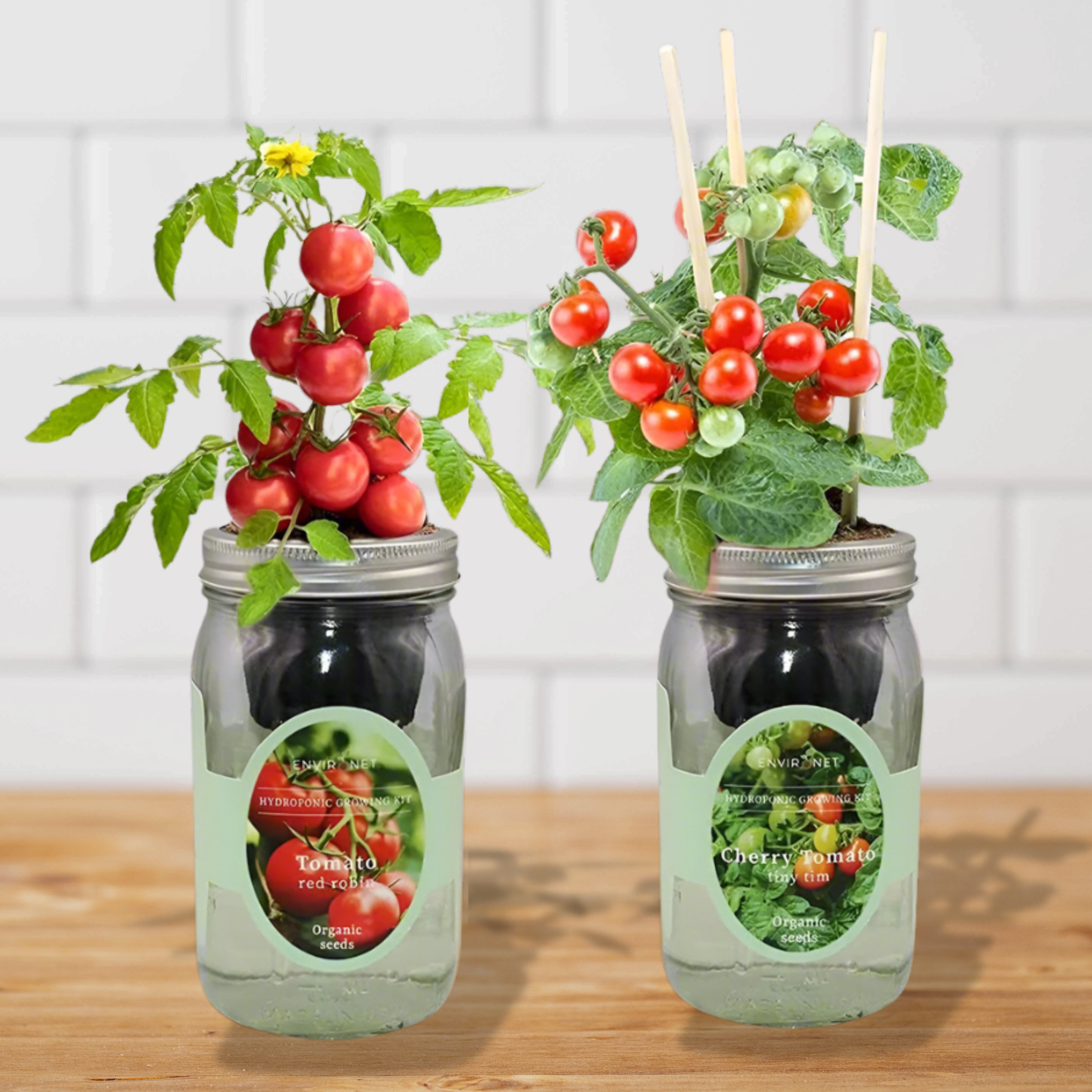 Windowsノート本体 TOMATO Tomato Bliss - Cherry Tomato - Tiny Tim, Tomato - Red Robin