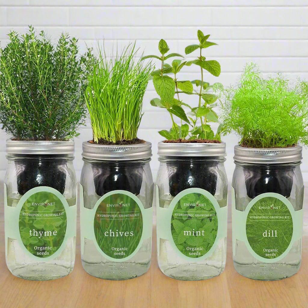organic herb seeds and plants Hydroponic Herb Bundle
