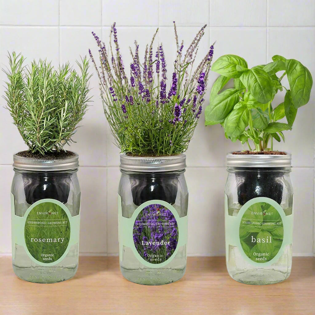 Hydroponic Herb Kit Trio (Lavender, Rosemary & Basil)