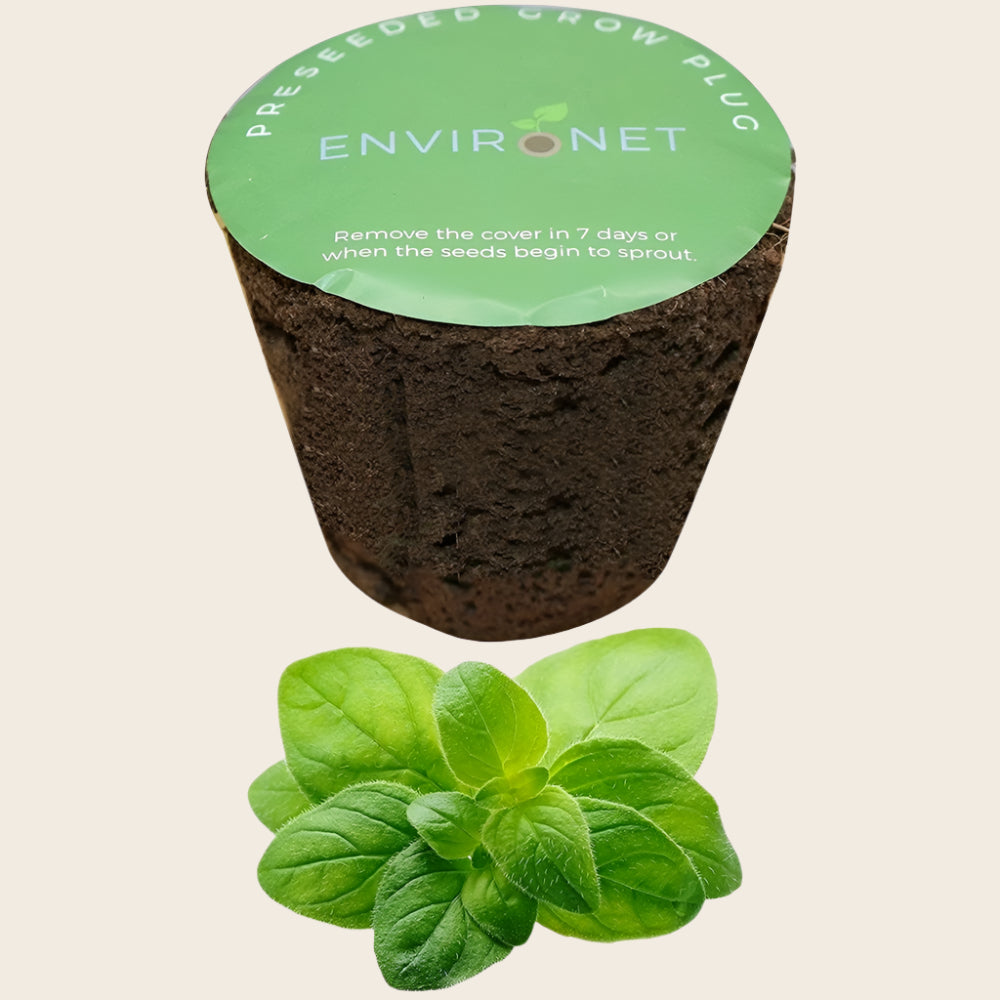 3" Preseeded Herb Seeds Starter Plug - Oregano