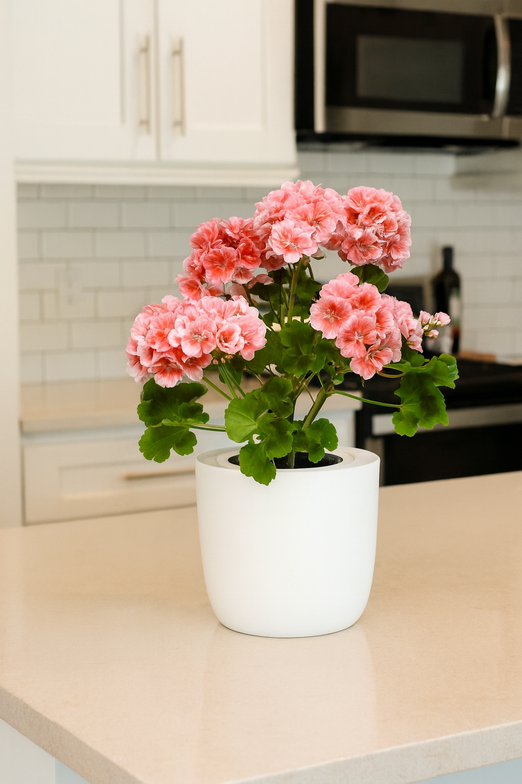 Geranium Mix Seeds White Ceramic Pot Hydroponic Growing Kit with Seeds