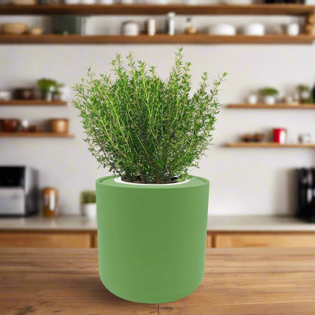Thyme Hydroponic Kit – Enviro Garden