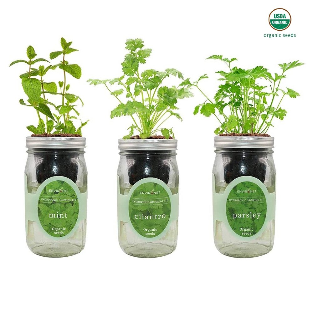 Herb Garden Trio - Mason Jar Hydroponic Kit Set with Organic Seeds (Mint, Cilantro and Parsley)
