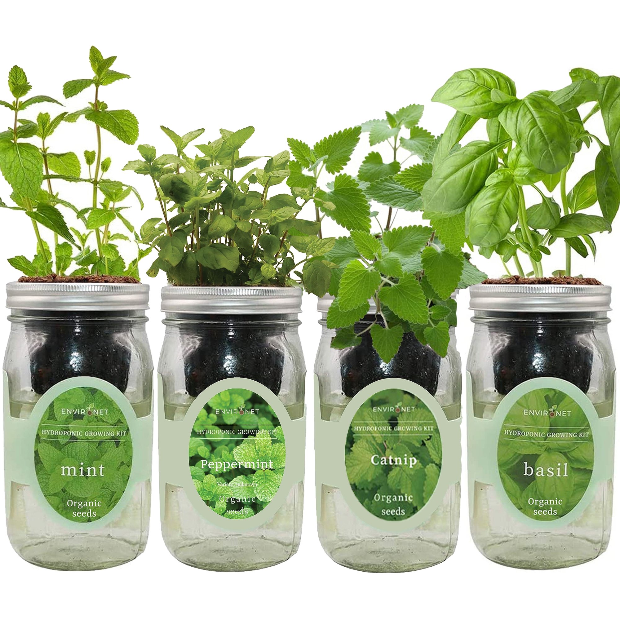 Hydroponic Herb Growing Kit Garden Bundle with Organic Seeds - Catnip,Peppermint,Mint, Basil
