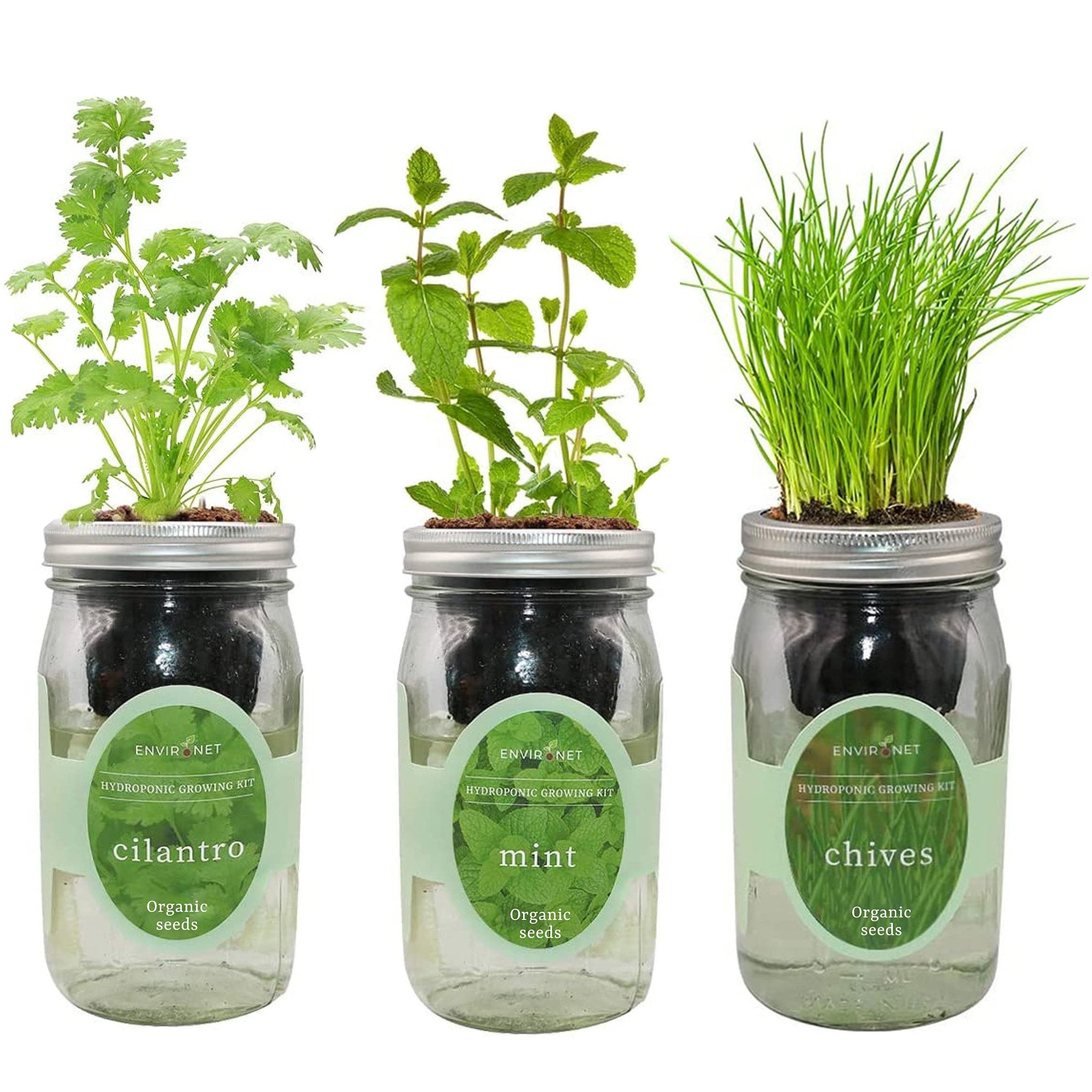Hydroponic Herb Growing Kit Set with Organic Seeds - Cilantro, Mint, Chives