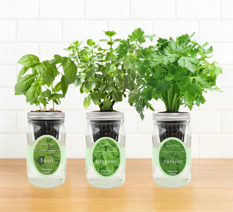 Mediterranean Medley - Basil, Parsley, Oregano