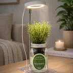 Rosemary Hydroponic Kit