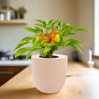 Pepper - Sweet Pickle