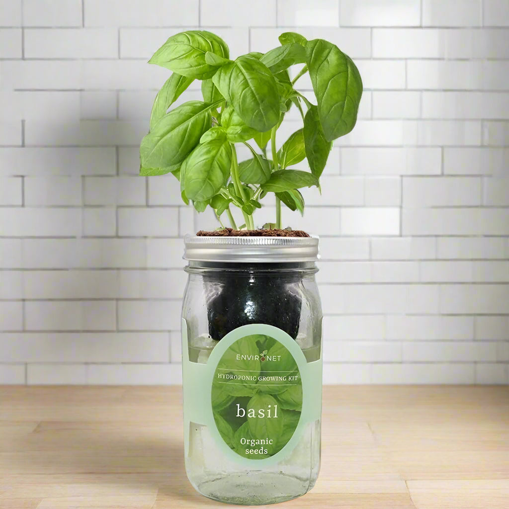 Basil Hydroponic Herb Kit