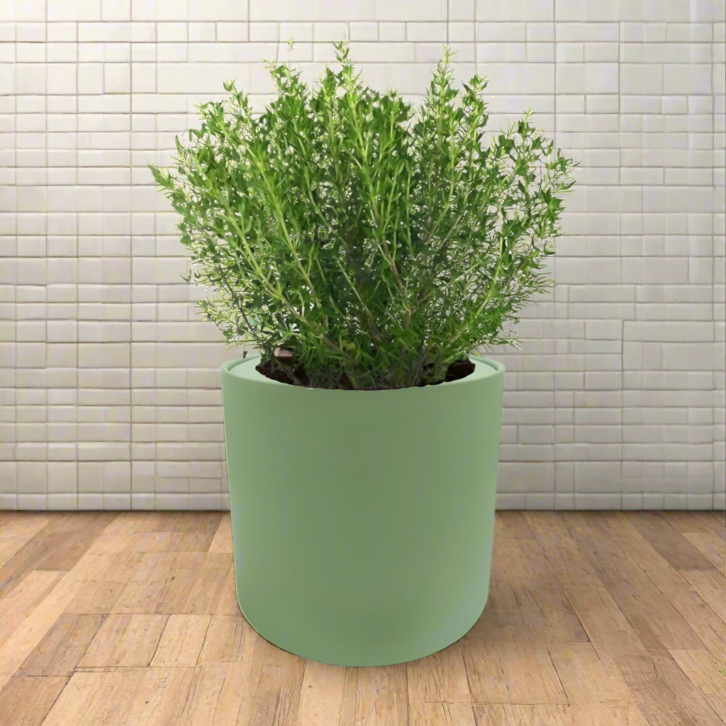 Thyme Hydroponic Kit - Green ceramic planter