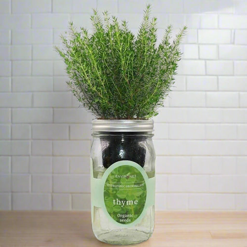 Thyme Hydroponic Kit