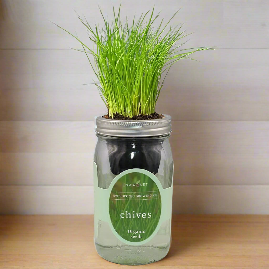 Chives Hydroponic Kit