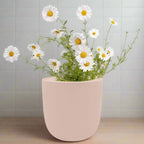 Chamomile Hydroponic Kit - Pink Ceramic Pot