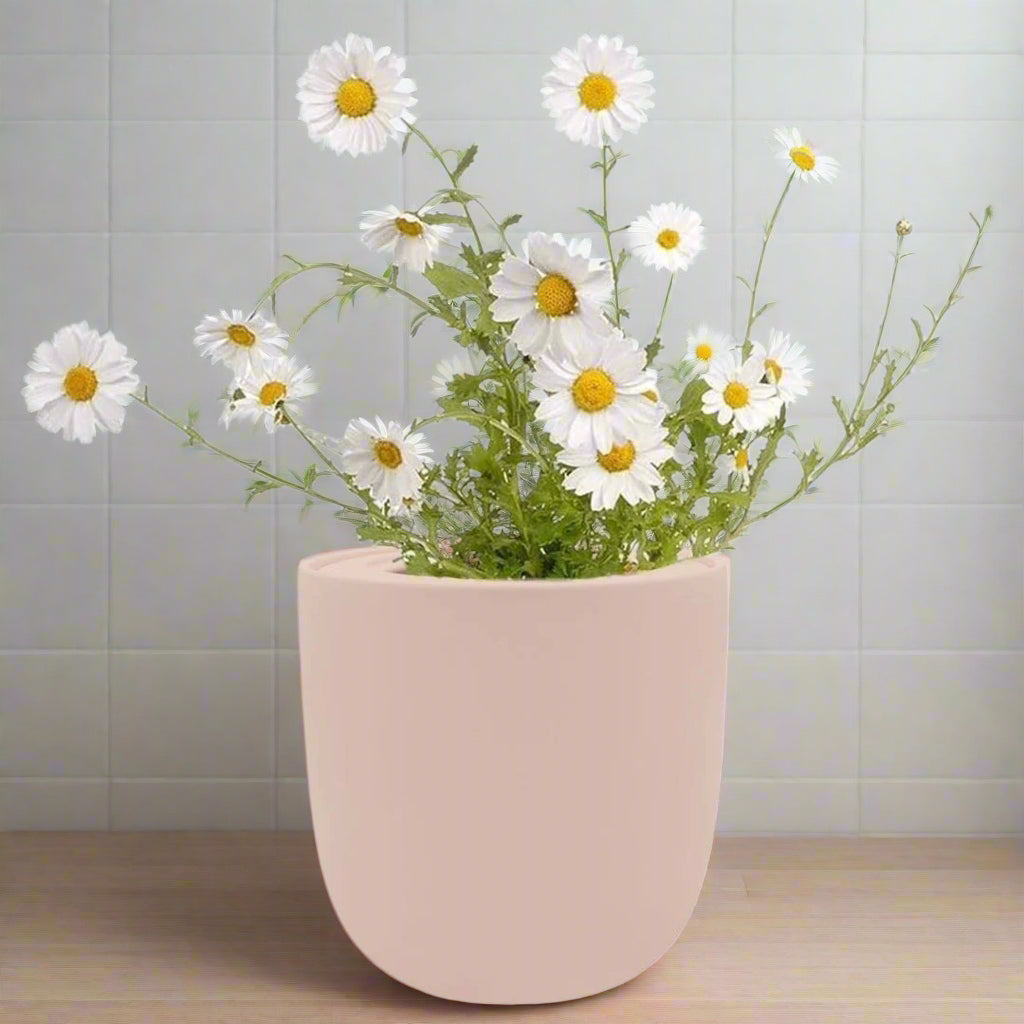 Chamomile Hydroponic Kit - Pink Ceramic Pot