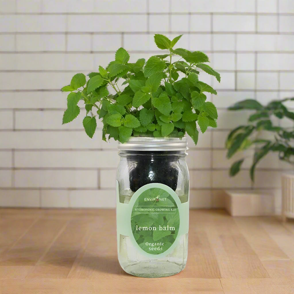 Lemon Balm Hydroponic Kit