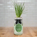 Bunching Onion Hydroponic Kit - Mason Jar