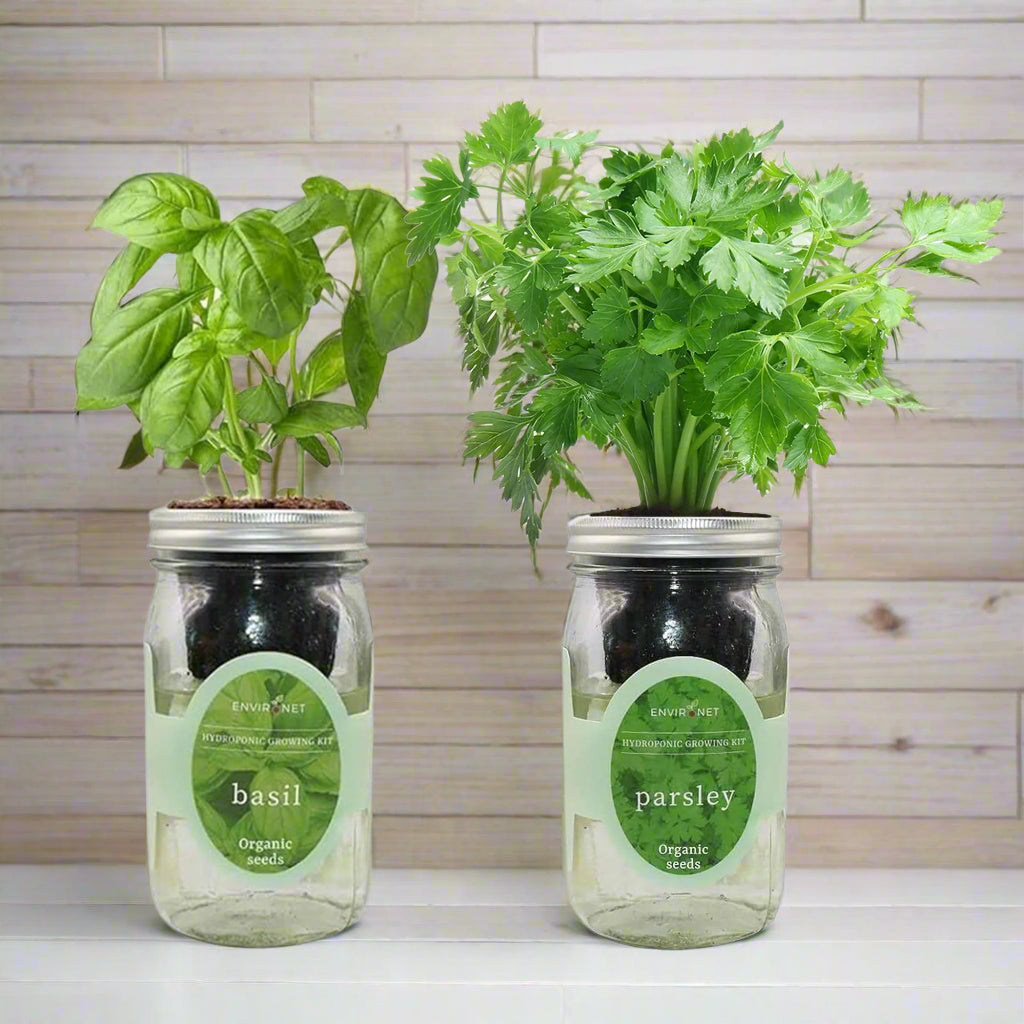 Green Harmony - Basil, Parsley
