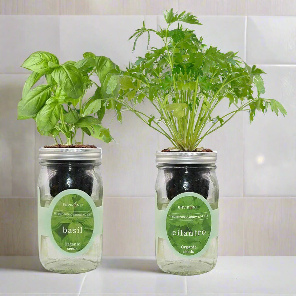 Zesty Greens - Basil, Cilantro