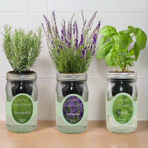 Hydroponic Herb Kit Trio (Lavender, Rosemary & Basil)
