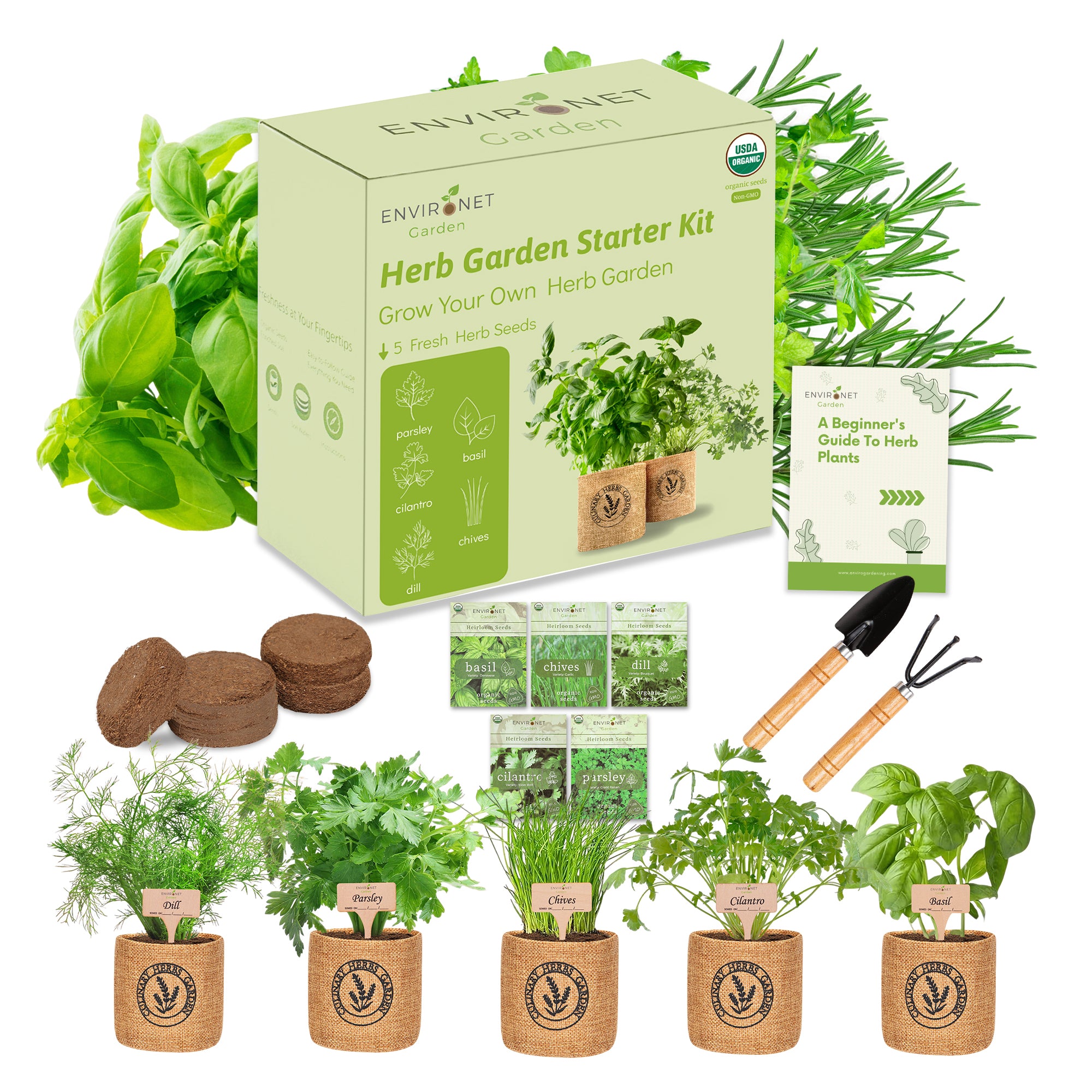 5-Herb Indoor Garden Kit (Basil, Parsley, Chives, Cilantro, Dill)