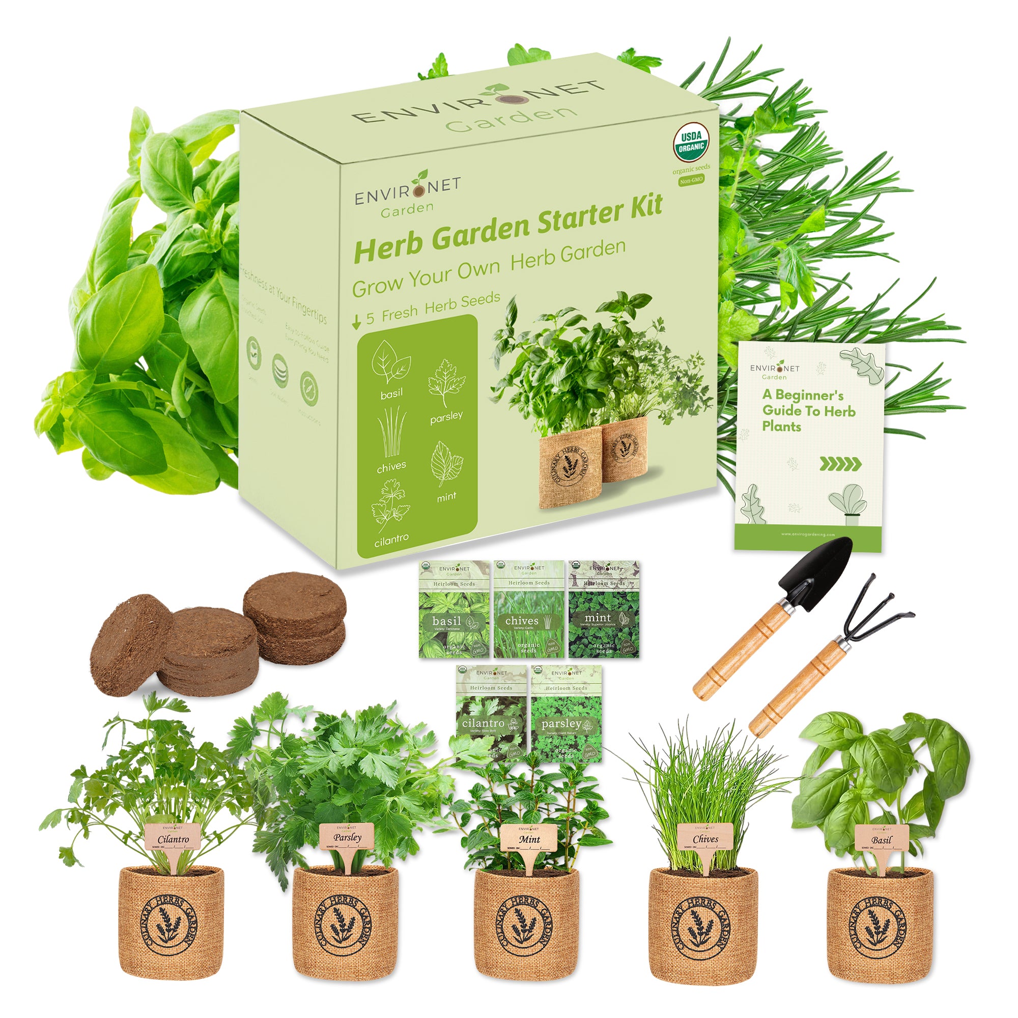 5-Herb Indoor Garden Kit (Basil, Parsley, Mint, Thyme, Rosemary)
