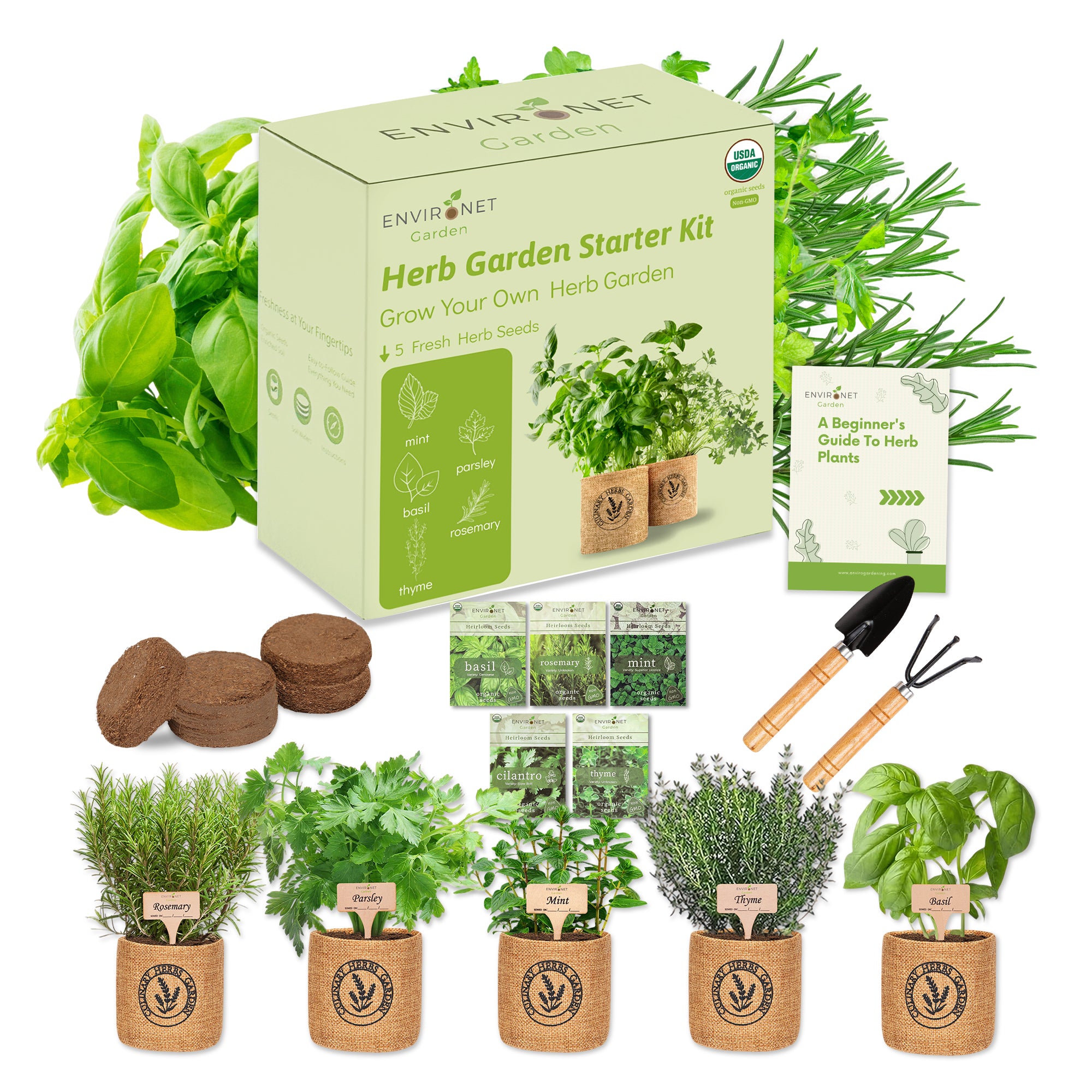 5-Herb Indoor Garden Kit (Basil, Parsley, Chives, Cilantro, Mint)