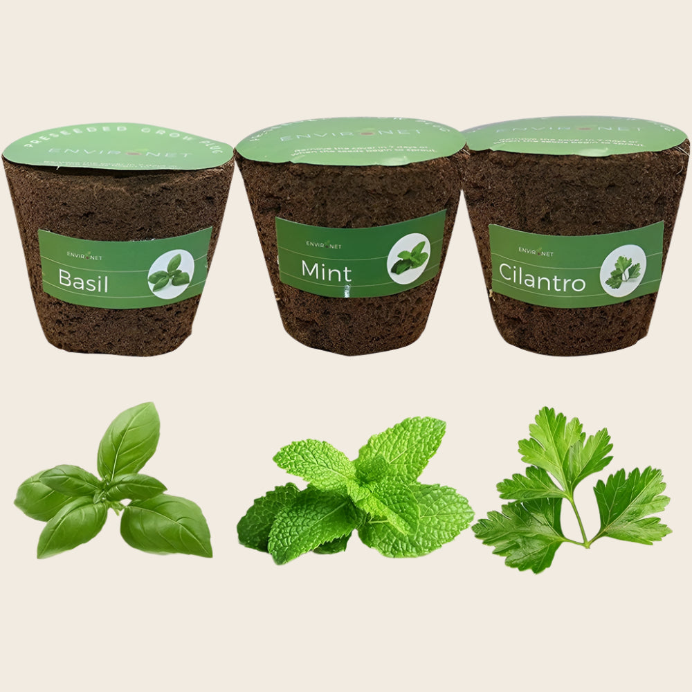 3" Preseeded Hydroponic Plugs - Basil, Mint, Cilantro