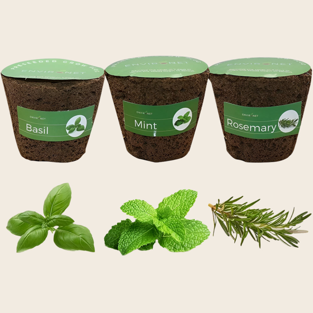 3" Preseeded Hydroponic Plugs - Basil, Mint, Rosemary