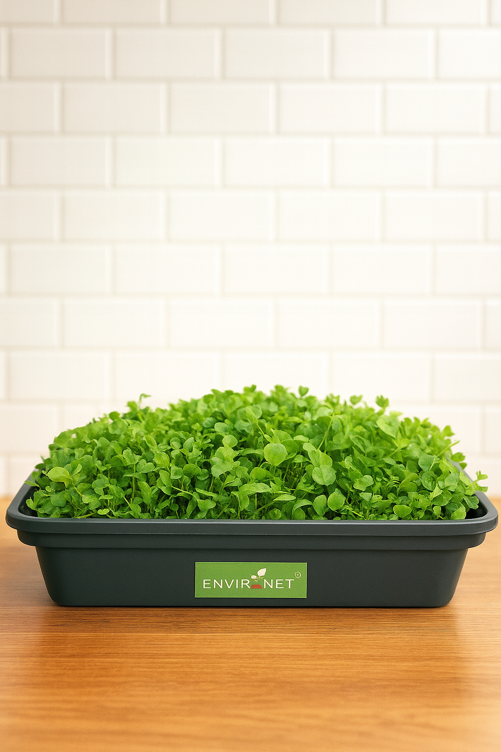 Home Microgreens Growing Kit