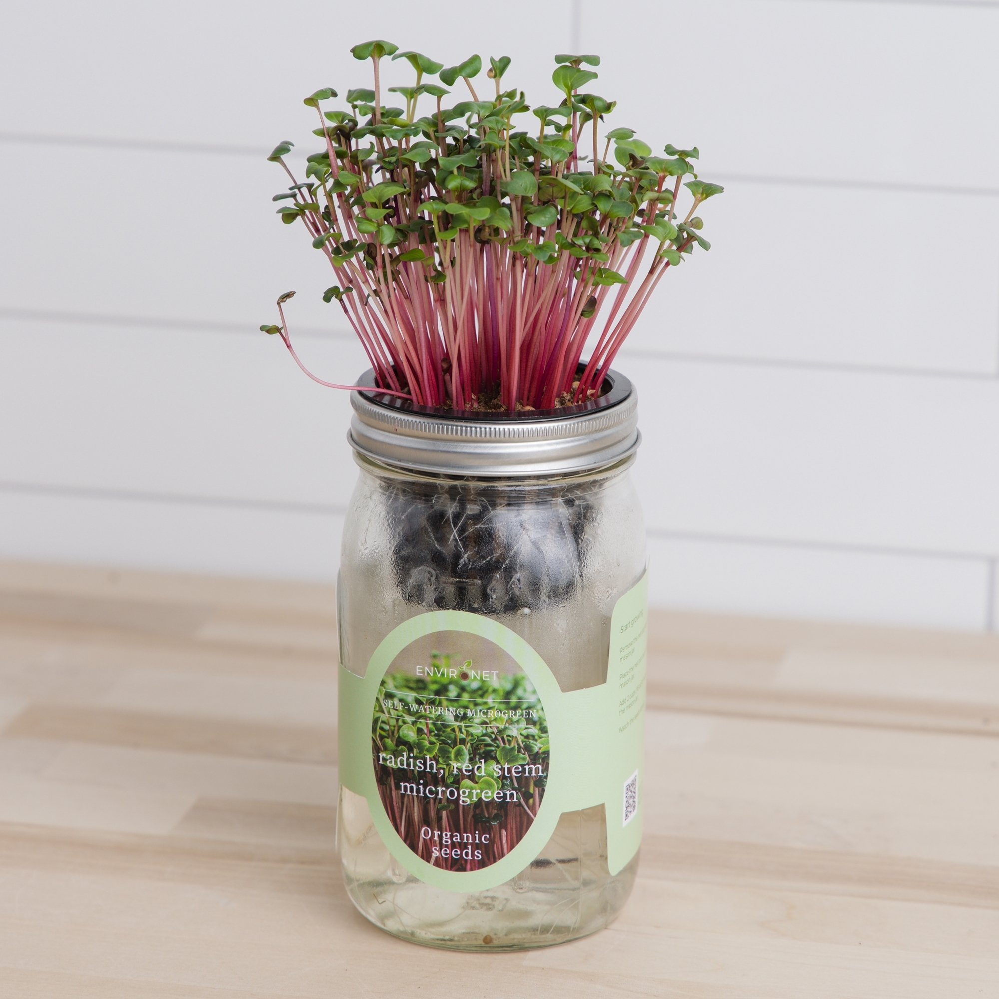DIY Garden Organic Superfood Ruby Red Radish Microgreens Kit 4 Portions Worth 
