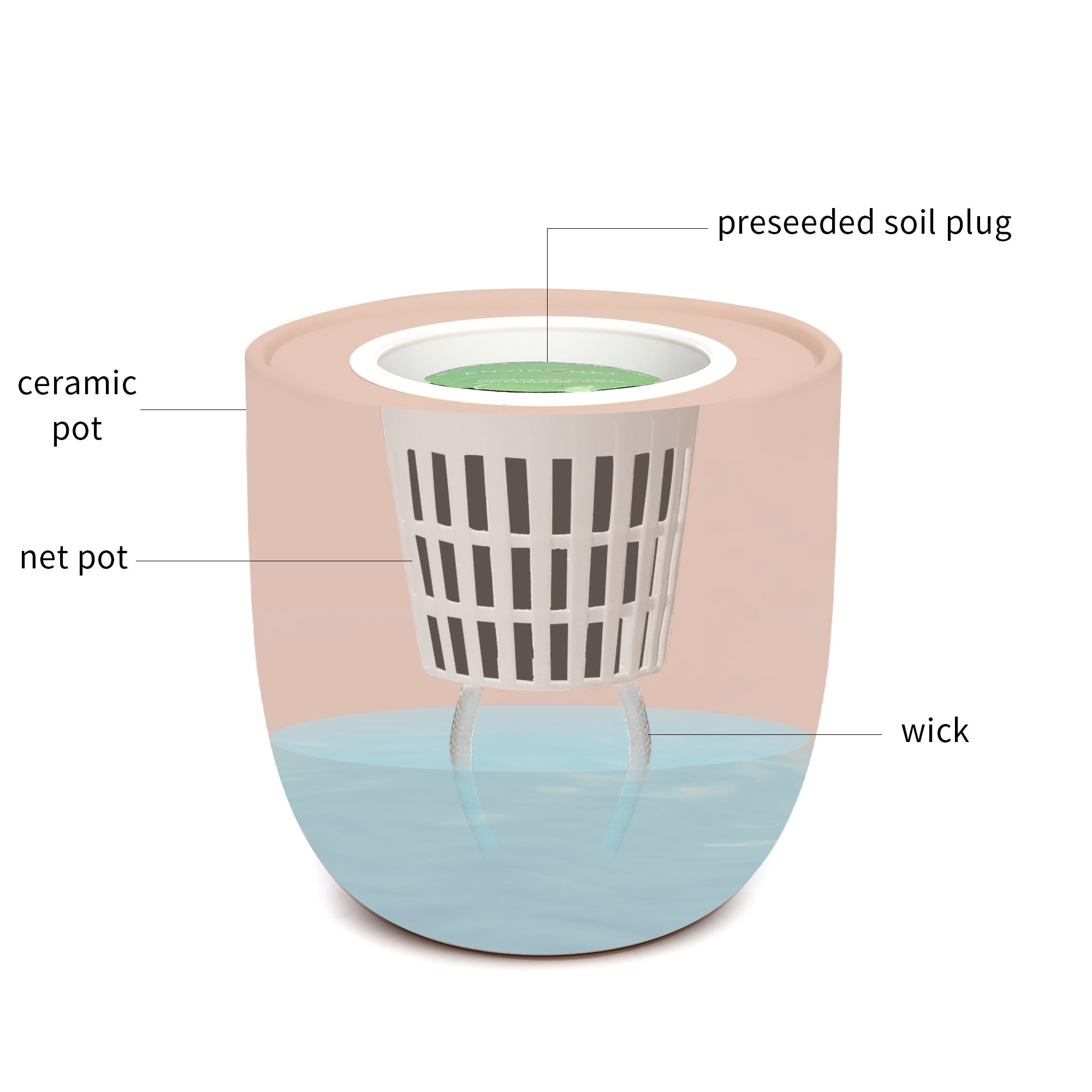 Hydroponic Herb Growing Kit With Pink Ceramic Pot and Organic Seeds (Parsley)