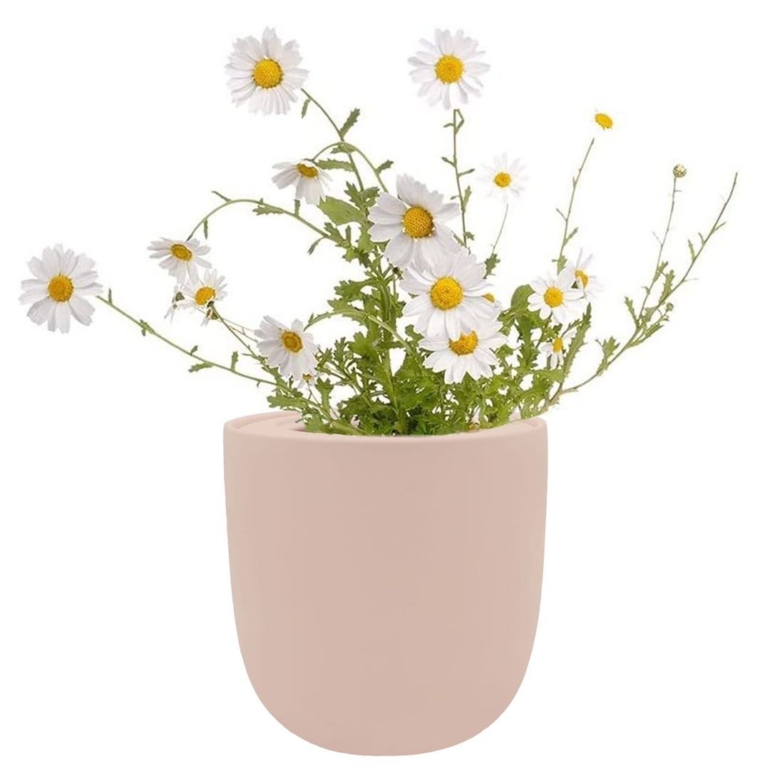 Hydroponic Chamomile Growing Kit with Pink Ceramic Pot and Seeds