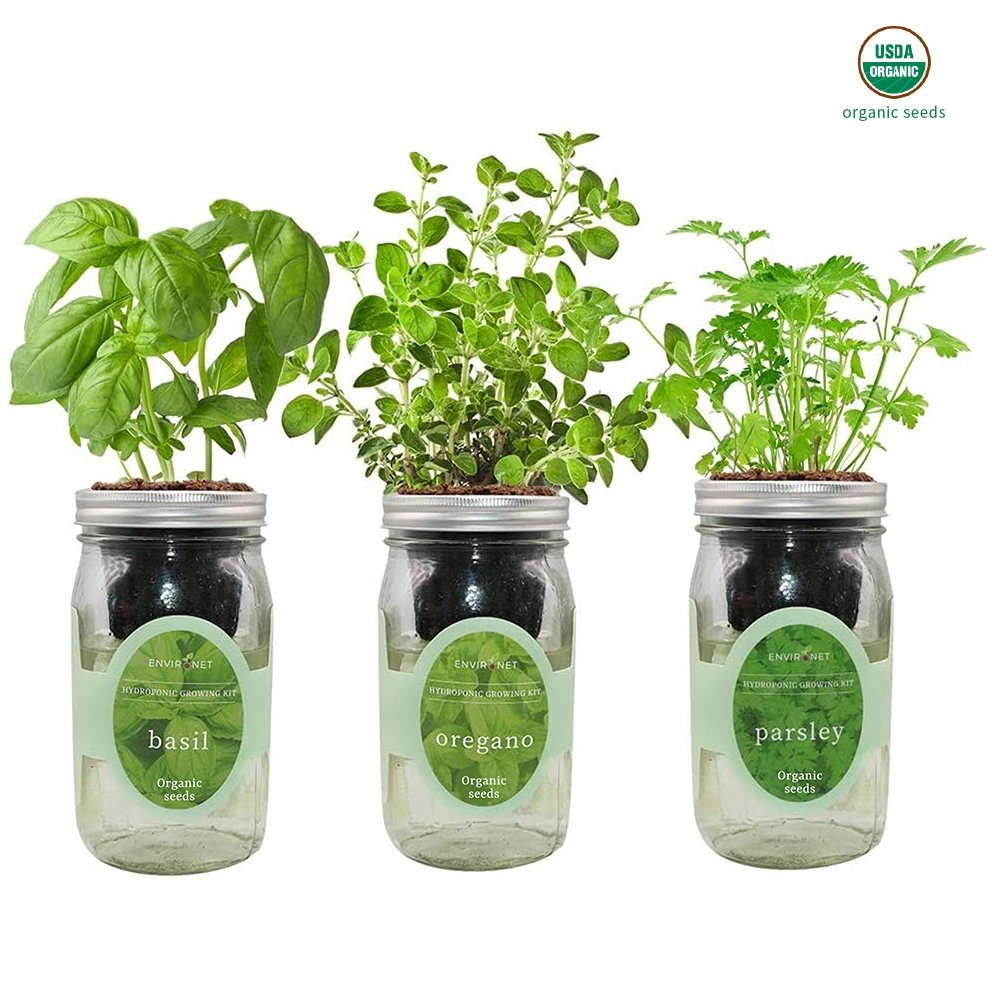 Herb Garden Trio - Mason Jar Hydroponic Kit Set with Organic Seeds(Basil, Oregano and Parsley)