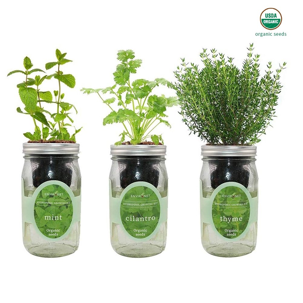 Herb Garden Trio - Mason Jar Hydroponic Kit Set with Organic Seeds (Mint, Cilantro and Thyme)