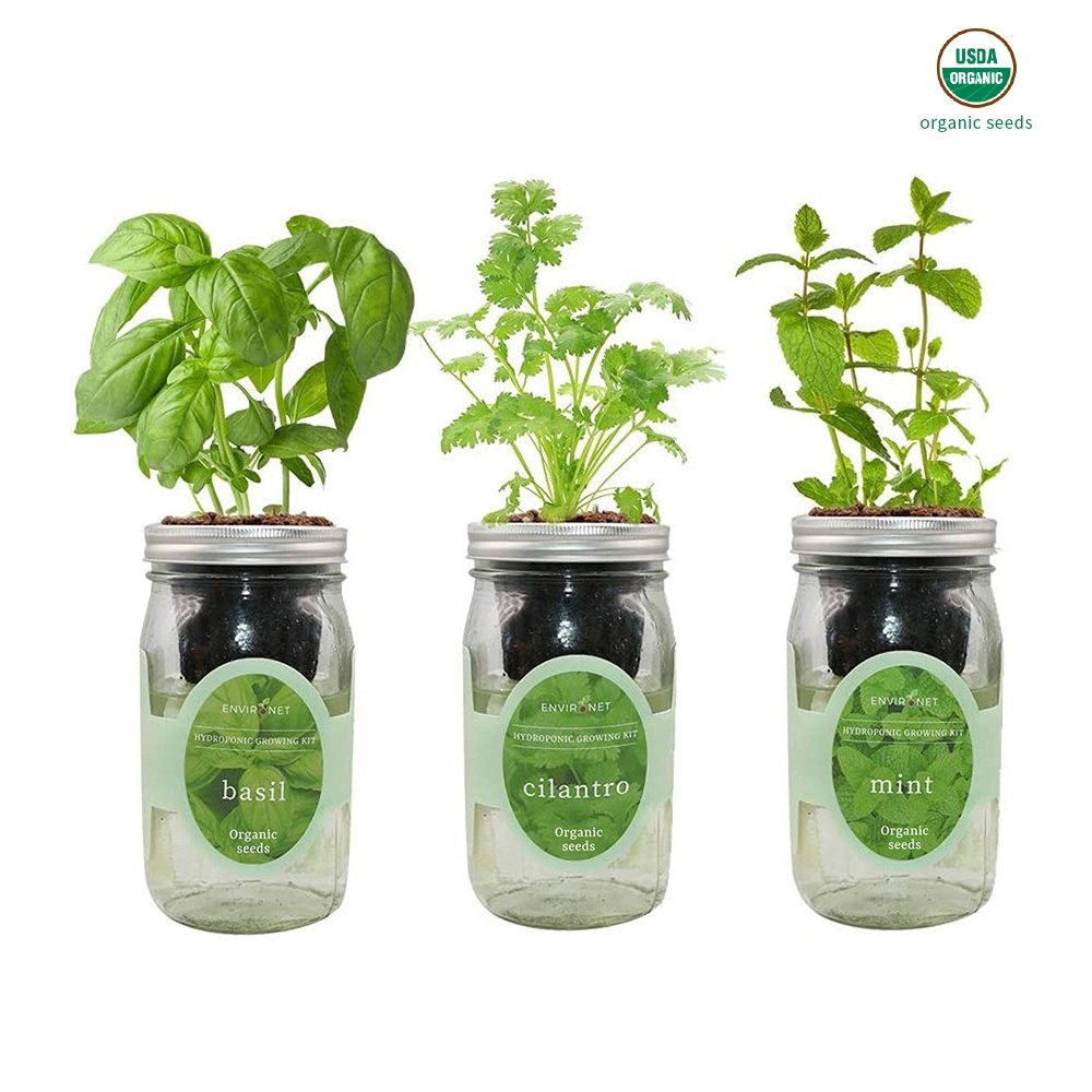 Herb Garden Trio - Mason Jar Hydroponic Kit Set with Organic Seeds(Basil, Cilantro and Mint)