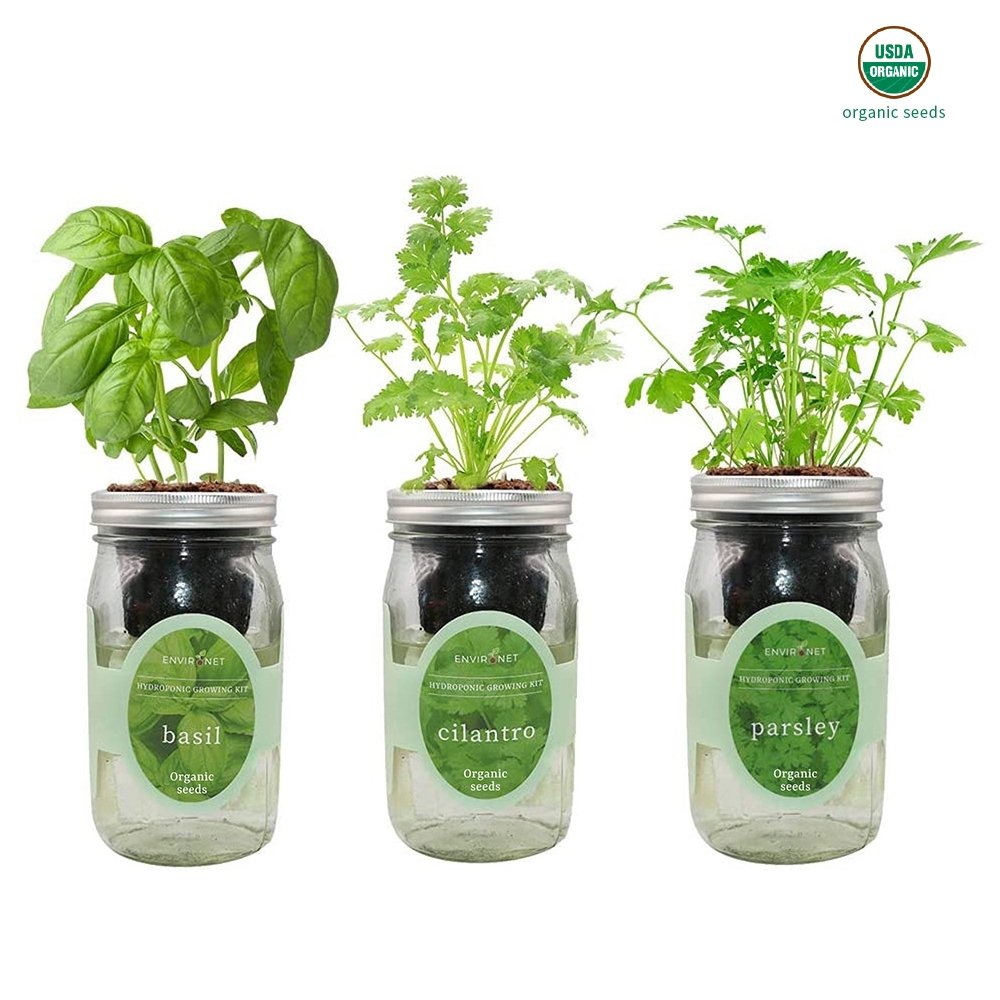 Herb Garden Trio - Mason Jar Hydroponic Kit Set with Organic Seeds(Basil, Cilantro and Parsley)