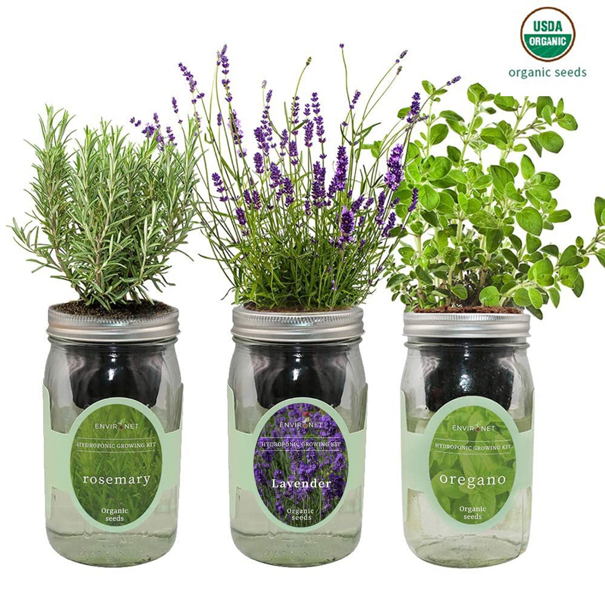 Herb Garden Trio - Mason Jar Hydroponic Kit Set (Rosemary, Lavender, Oregano)