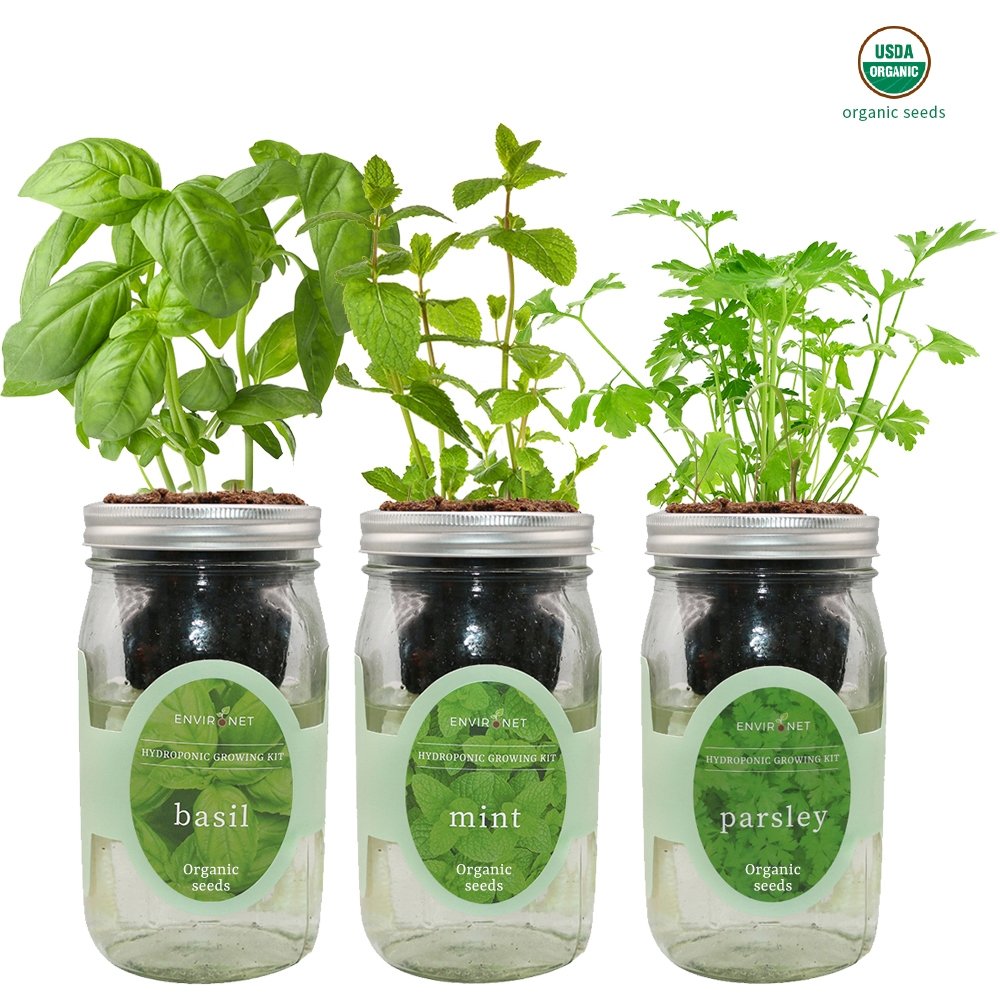 Herb Garden Trio - Mason Jar Hydroponic Kit Set with Organic Seeds (Basil, Mint and Parsley)