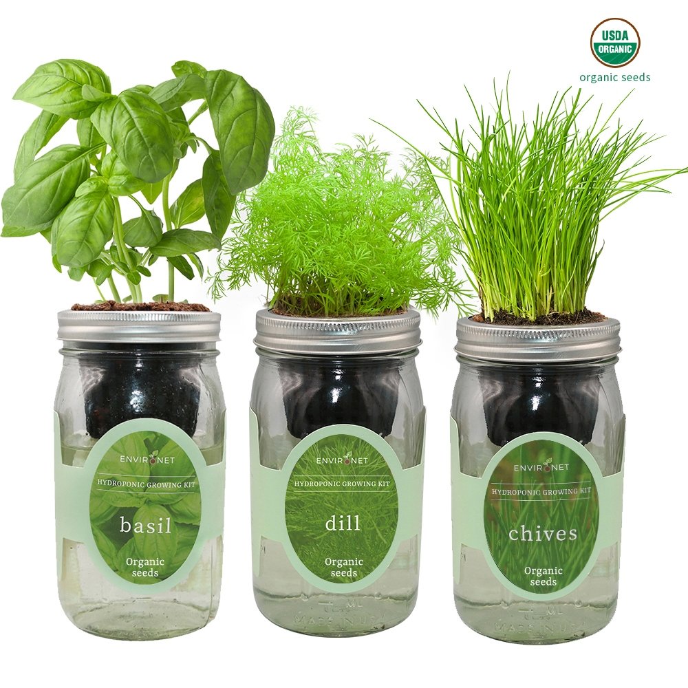 Herb Garden Trio - Mason Jar Hydroponic Kit Set with Organic Seeds (Basil, Dill and Chives)
