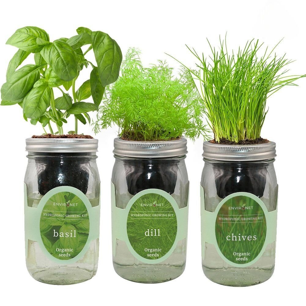 Herb Garden Trio - Mason Jar Hydroponic Kit Set with Organic Seeds (Basil, Dill and Chives)