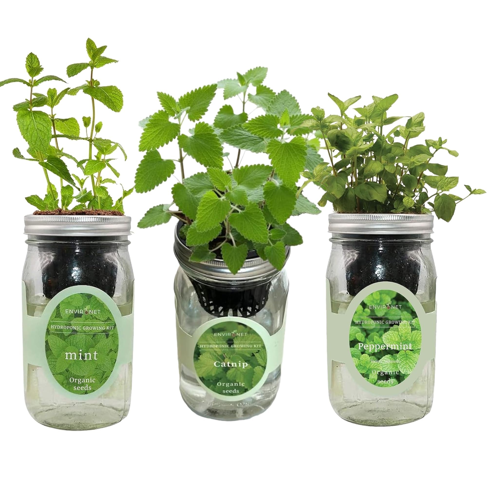 Hydroponic Herb Growing Kit Set (Mint, Peppermint & Catnip)