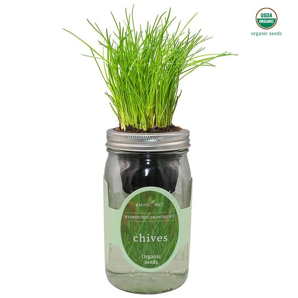 Chives Mason Jar Hydroponic Herb Kit with Organic Seeds
